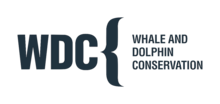 WDC Logo H D CMYK