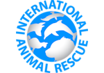 IAR logo png