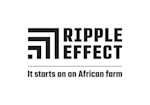 Ripple Effect