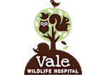 Vale Logo NO BACKGROUND