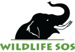 WSOS Elephant Logo