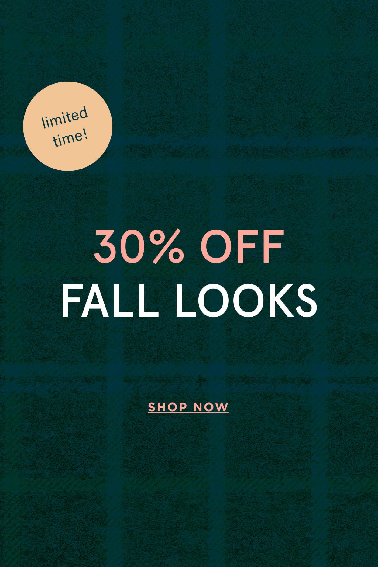 shop 30% off clothing and accessories