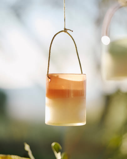 Citronella