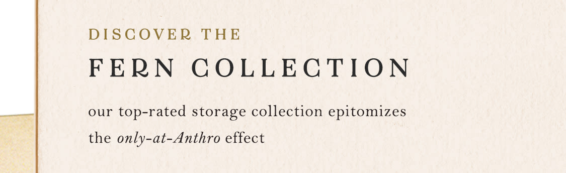 The Top-Rated Fern Collection: part display piece, part clutter solution – entirely charming