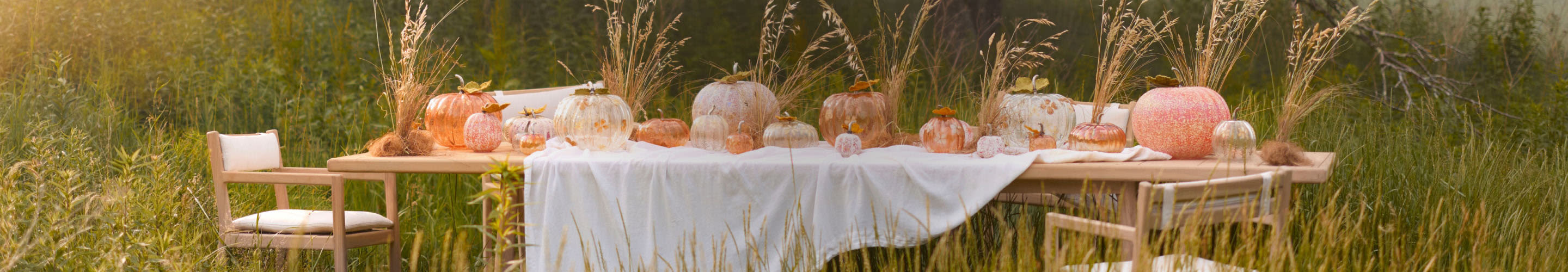 Outdoor autumn table setting with orange and white pumpkins, tall dried grasses, and white tablecloth in golden field