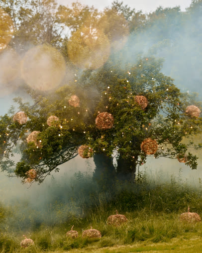 Mystical tree with glowing golden orbs in its branches, surrounded by ethereal mist and soft sunlight filtering through.