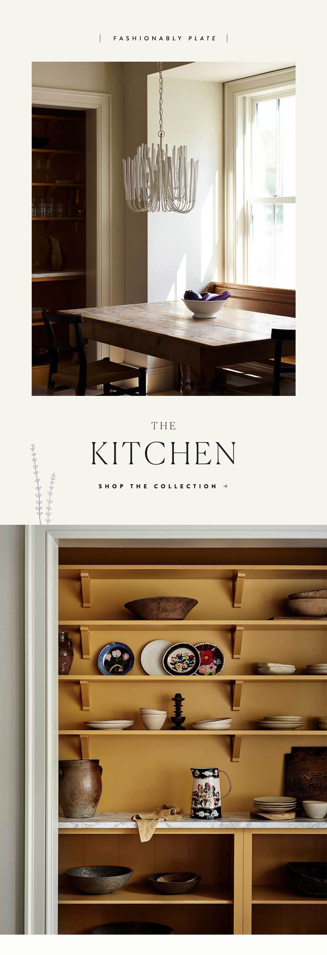 shop the kitchen