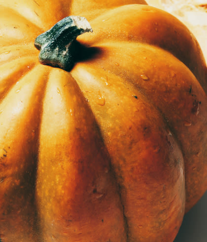 Close-up of an orange pumpkin with deep ridges and a green stem, showing natural texture and warm autumn tones.
