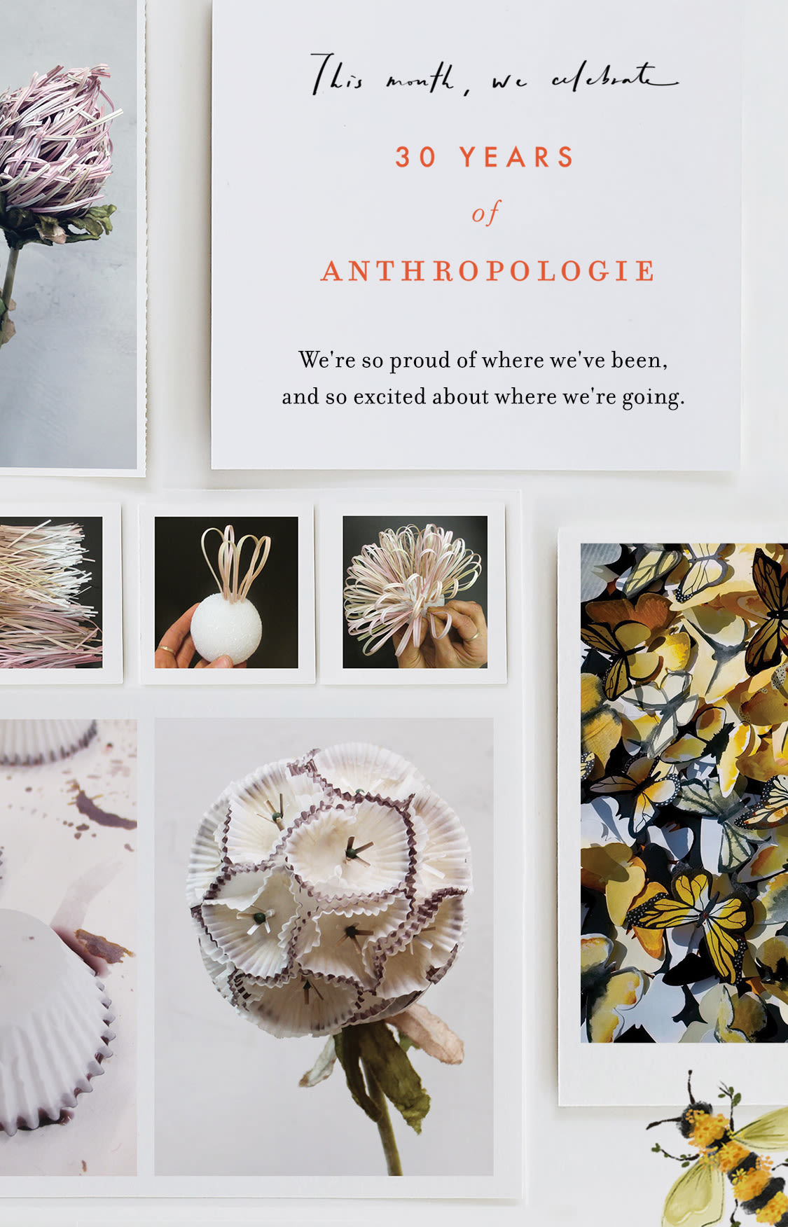 This month, we celebrate 30 years of Anthropologie – 30 years of creativity, community, and commitment. We're so proud of where we've been, and so excited about where we're going.
