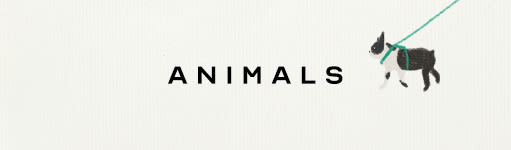 icons-novelty-animals-curation