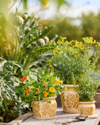 Planters