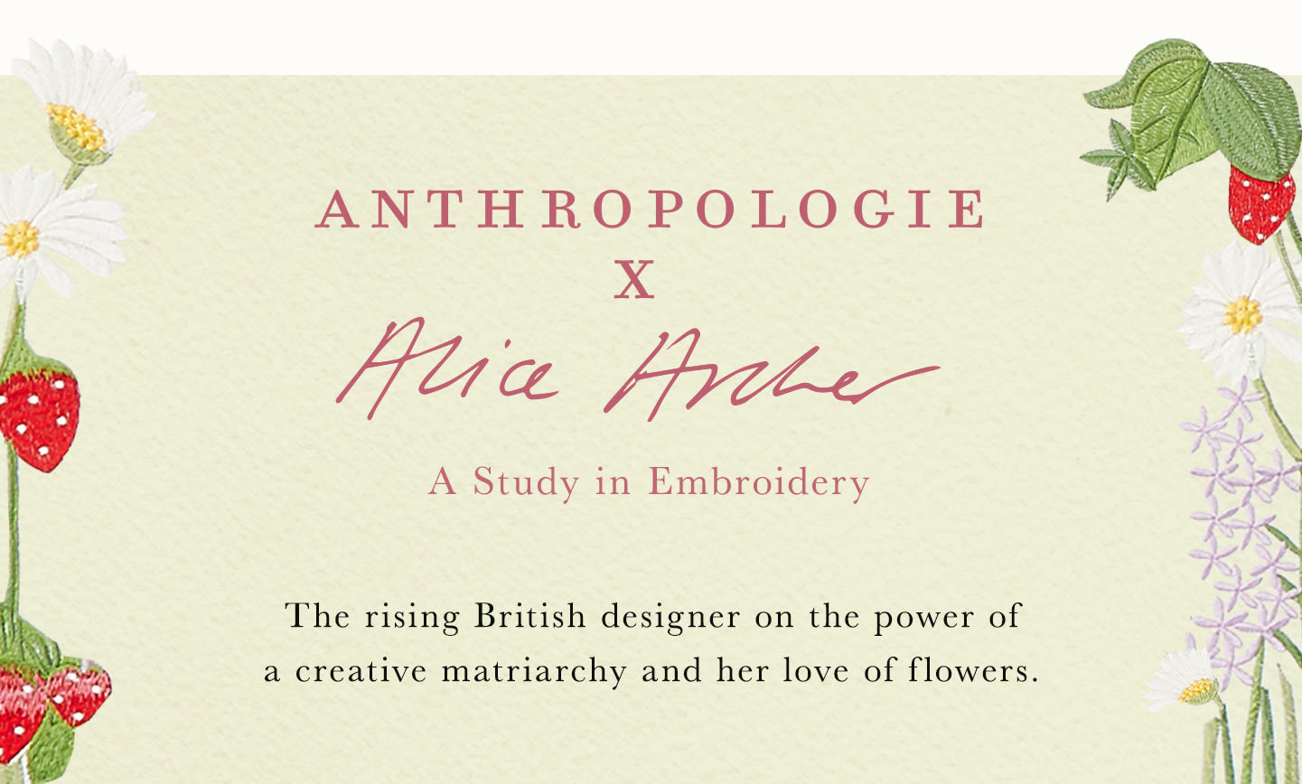 anthropologie-x-alice-archer