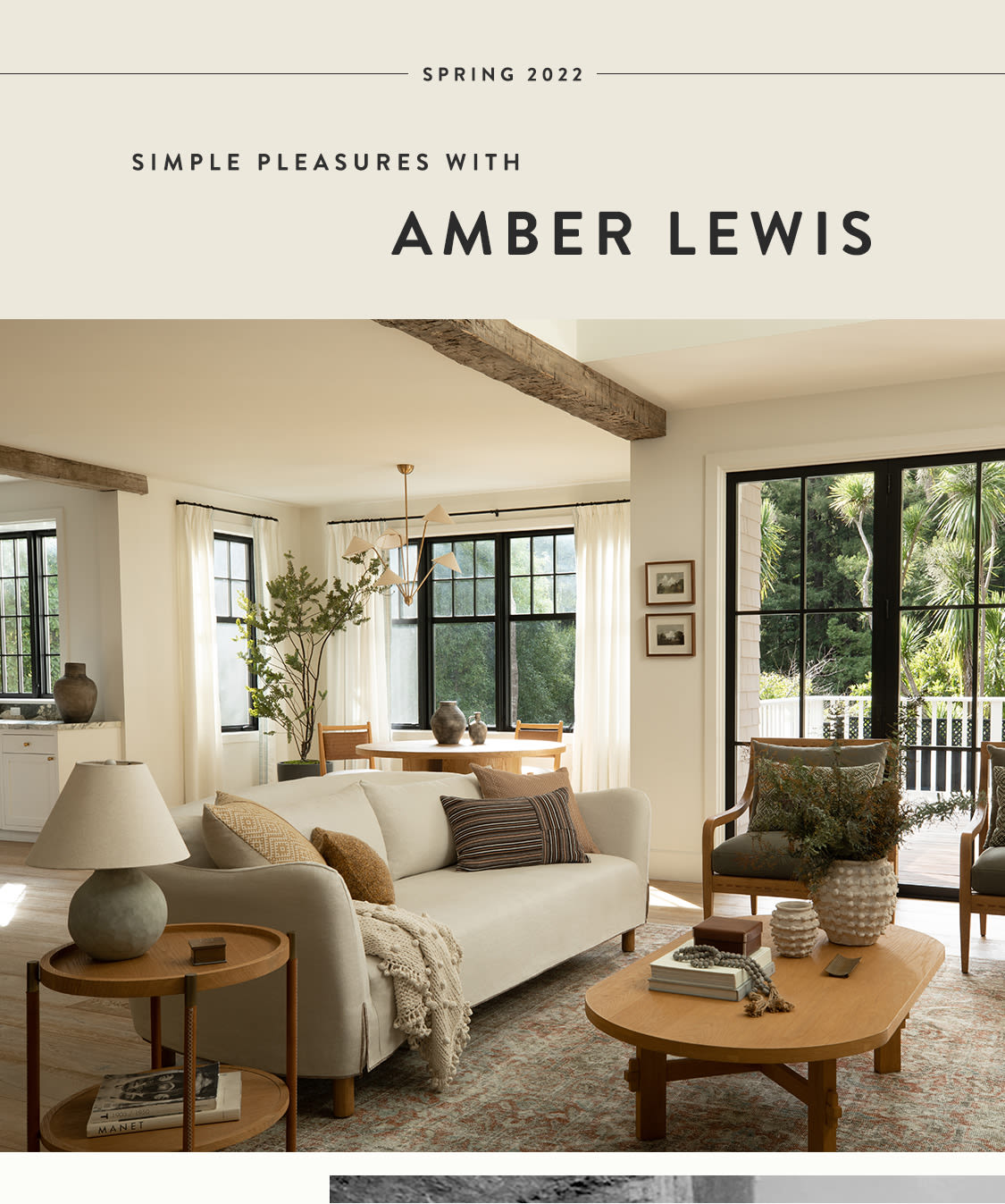 shop amber lewis