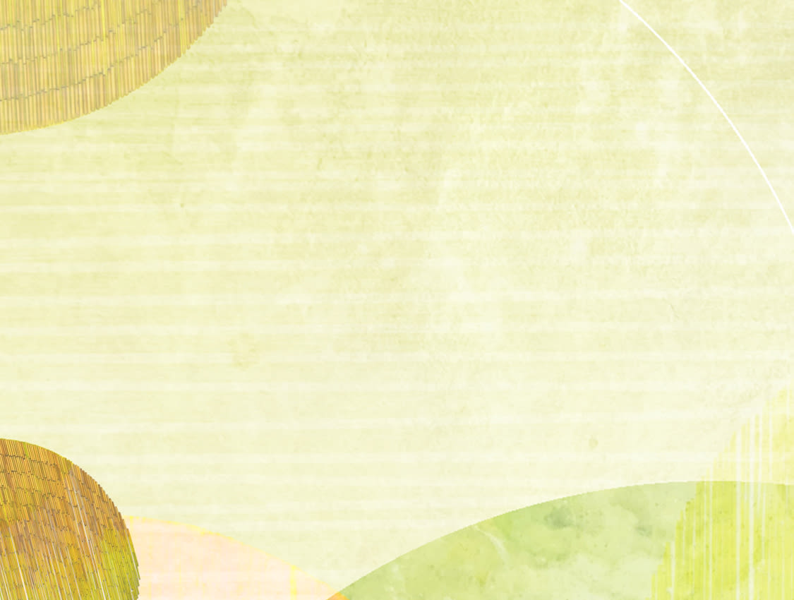 Earth Month 2023: Preserving our Rainforests: The Magic of Bamboo