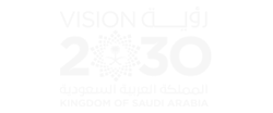 Saudi Vision 2030 image