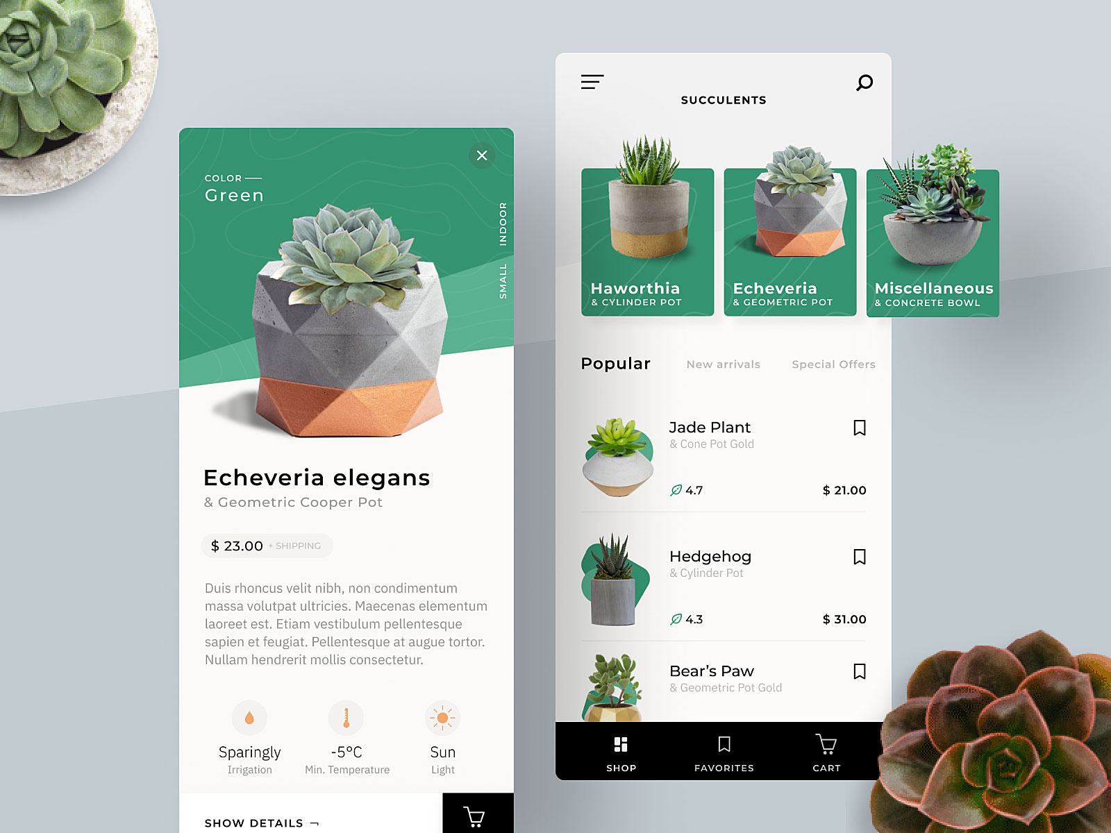 Find more of my current work on dribbble.