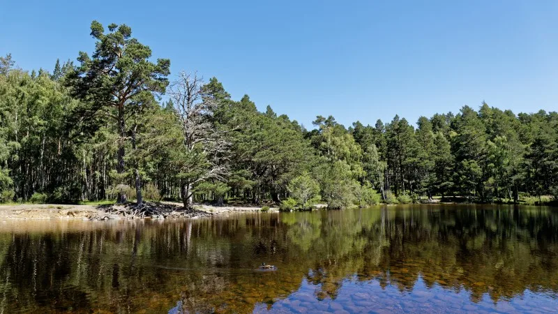 Loch an Eilein - Cairngorms National Park