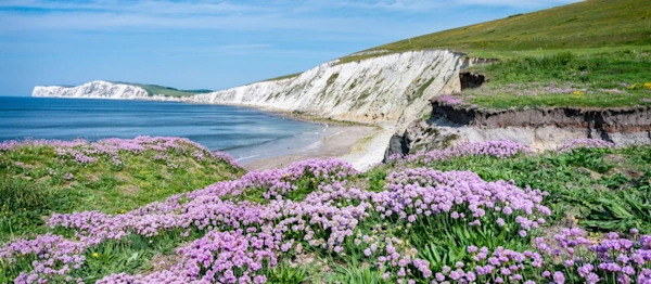 Compton Isle of Wight