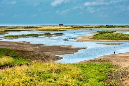 Rye Harbour Nature Reserve in East Sussex, England, UK