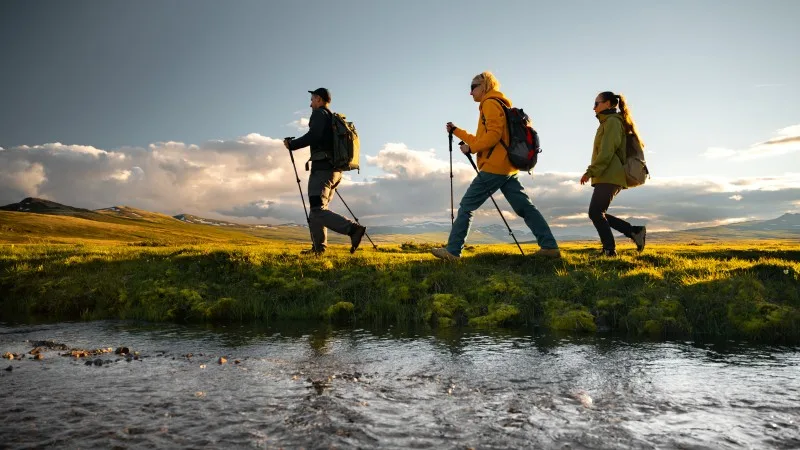 Hikers group with trekking poles walk along a stream on a mountain plateau at sunset