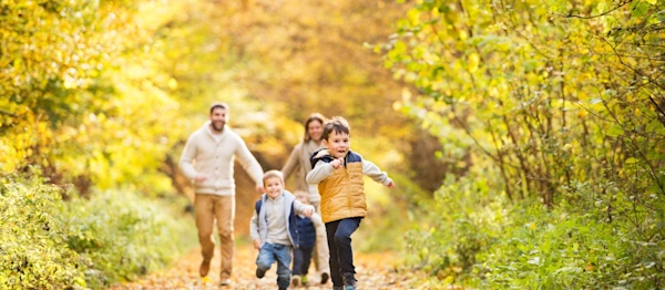 Family fun in the New Forest