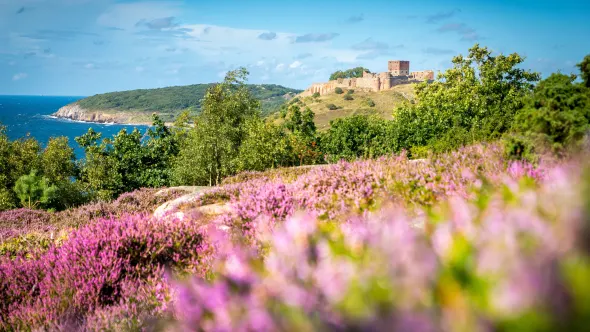 Find det perfekte feriehus tæt på Østersøen og Bornholms smukke natur