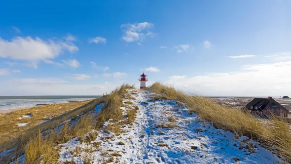 Strandkörbe auf Sylt