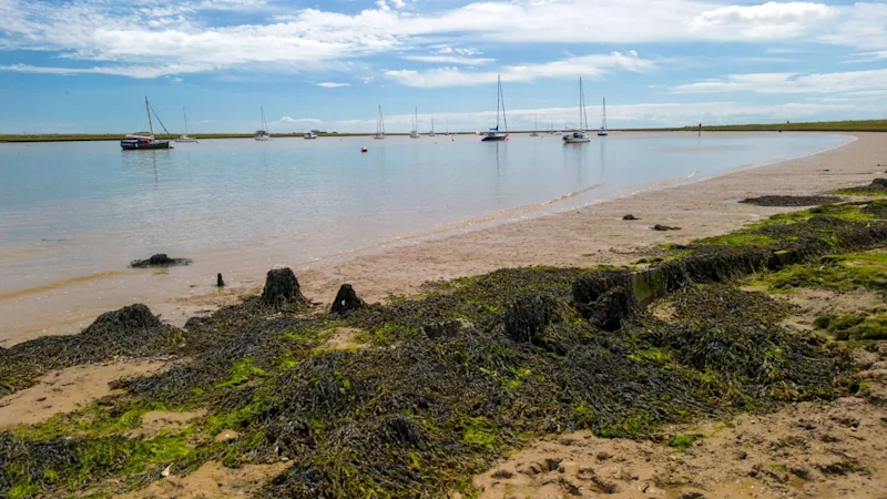 A view of the River Alde from the shores of Orford Ness, Suffolk coast, England, UK