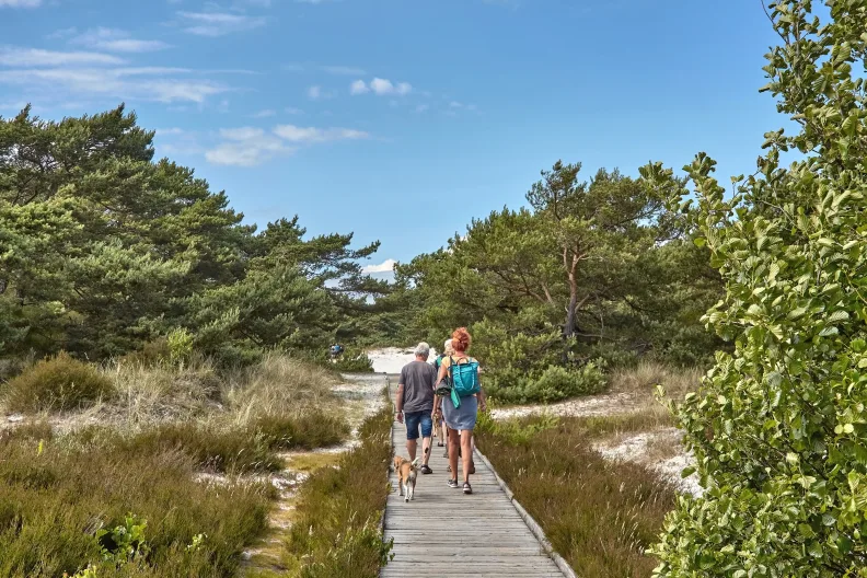 Hölzener Steg durch die Dünen in Dueodde auf Bornholm.