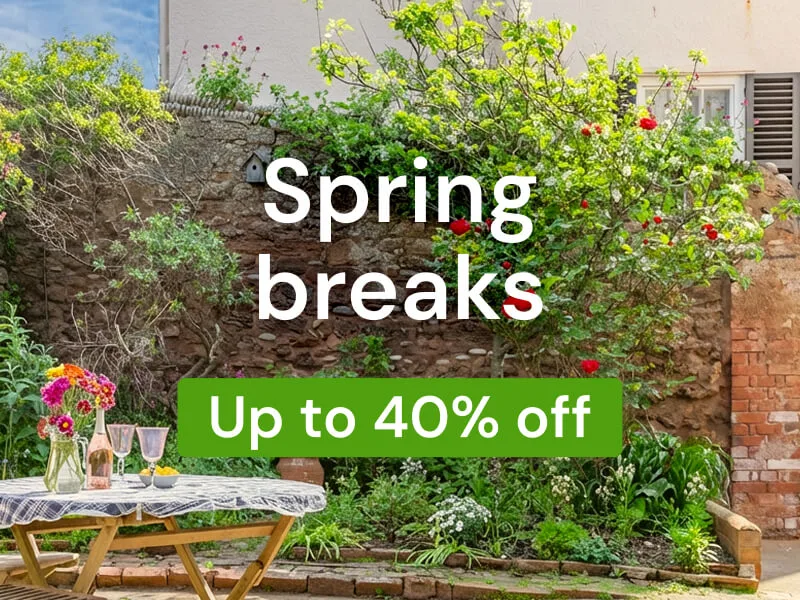 The ultimate spring reset