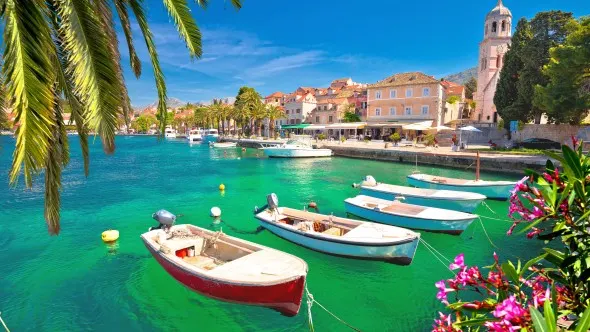 Turquoise waterfront of Cavtat palm and flowers view