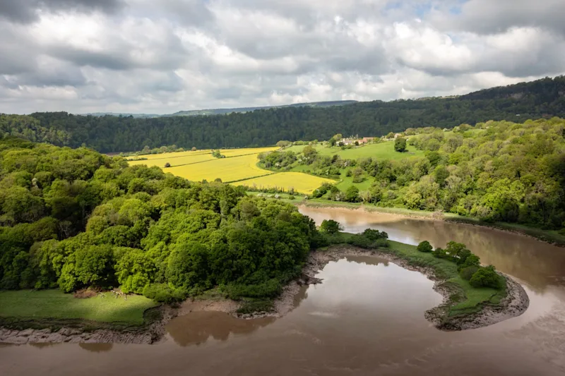 Elevated view of yellow rapeseed fields by the River Wye at Lancaut Peninsula from Wintour's Leap, Wye Valley, Gloucestershire, England, UK