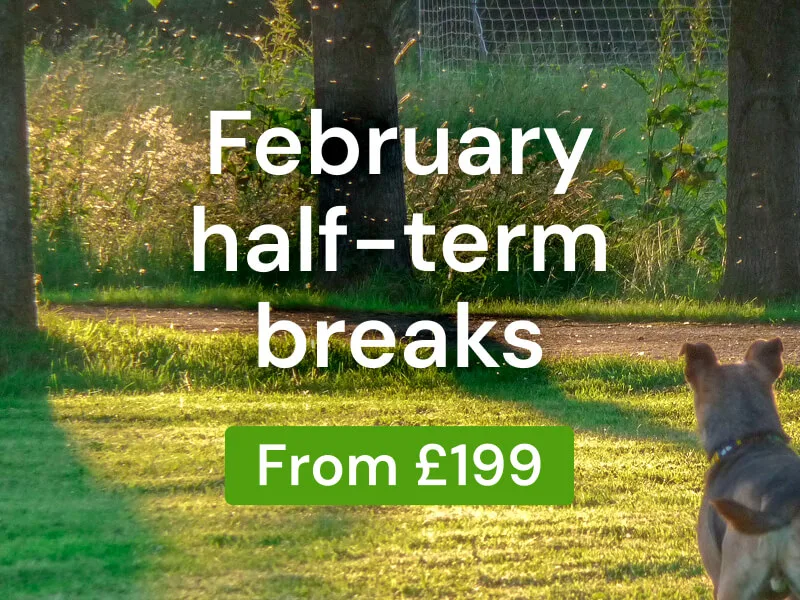 Family Time perfectly priced