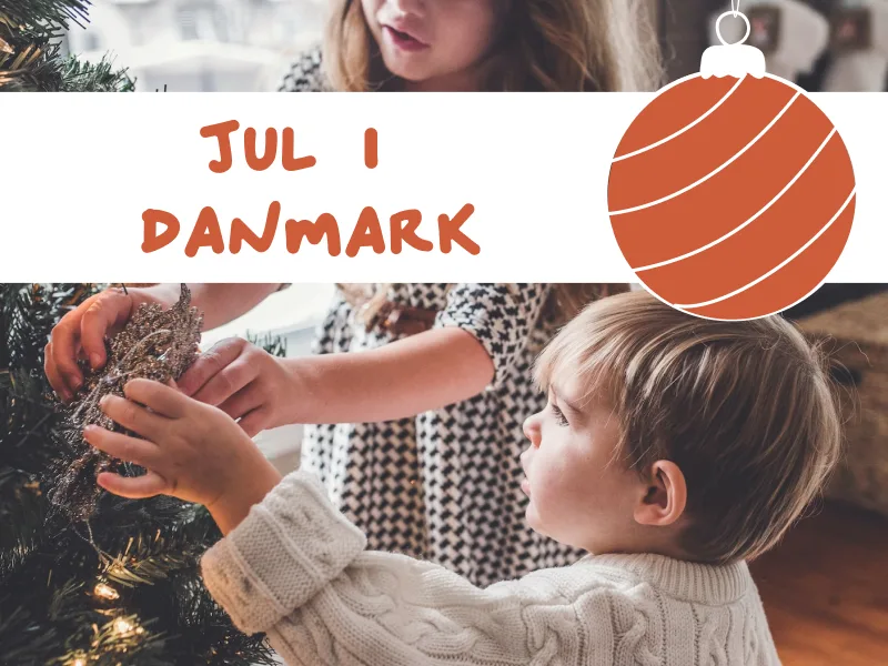 Find dit perfekte sommerhus til jul i år