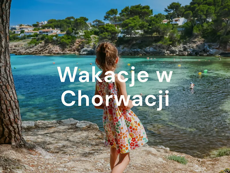 Zobacz nasze wspaniałe OFERTY