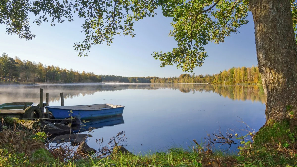 Idyllische Seenlandschaft an einem nebligen Morgen