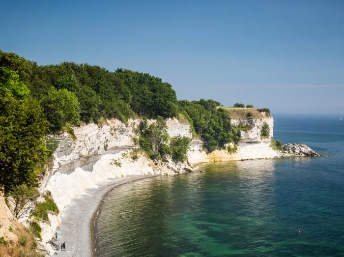 View of the coast. the cliffs of Stevns and the sea in Denmark.