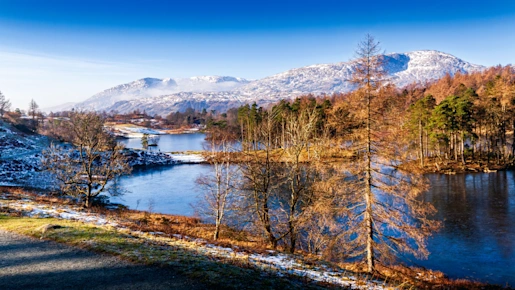 Tarn Hows in winter in the Lake District National Park, Cumbria, England, UK