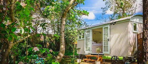 Helen's Shepherds Hut in Haxton