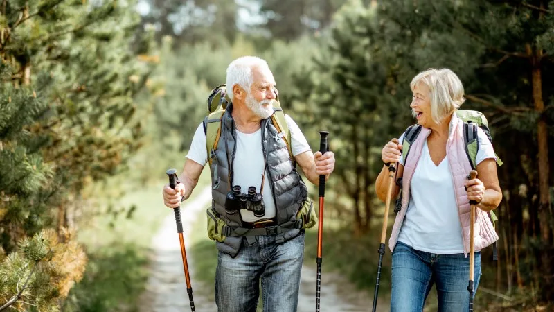 Happy senior couple hiking with trekking sticks and backpacks at the young pine forest. Enjoying nature, having a good time on their retirement