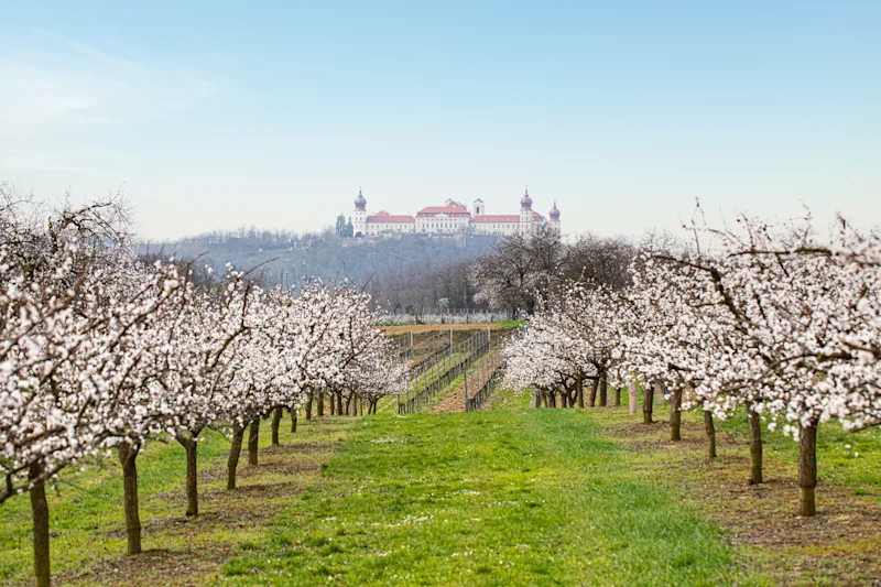 Stift Göttweig in der Wachau
