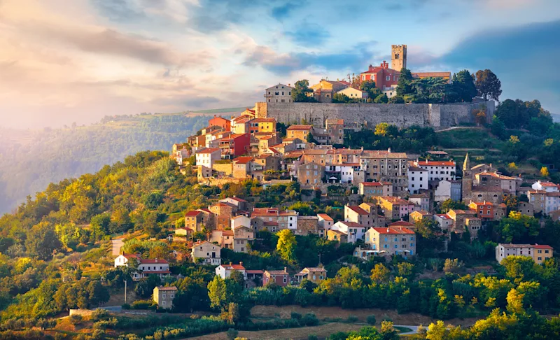Motovun surrounded by vineyards