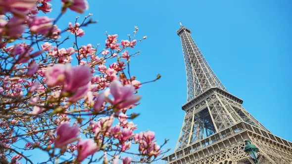 Ferienhaus Frankreich