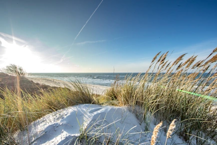 Blick von den Dünen auf die Ostsee an der Küste von Bornholm.