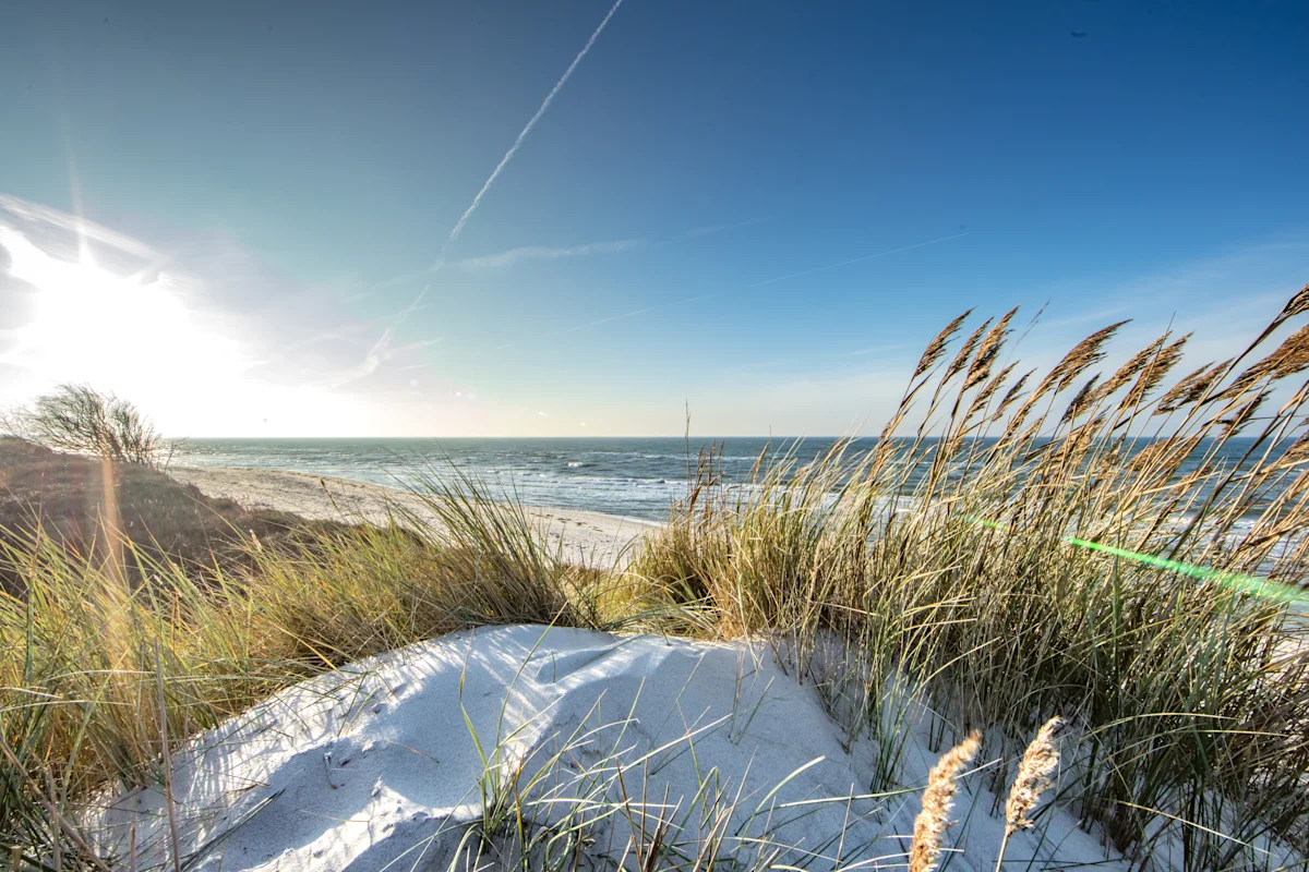 Blick von den Dünen auf die Ostsee an der Küste von Bornholm.