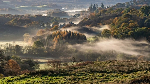 Misty autumn morning in the Fleet Valley National Scenic Area, near Gatehouse of Fleet, Dumfries & Galloway,