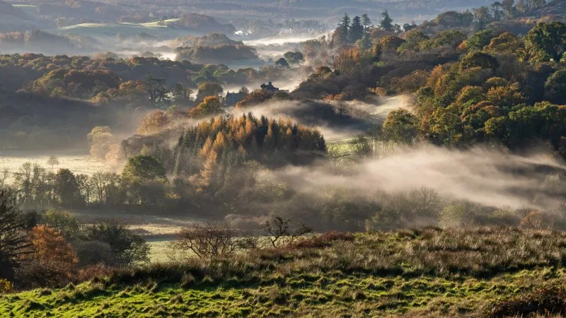 Misty autumn morning in the Fleet Valley National Scenic Area, near Gatehouse of Fleet, Dumfries & Galloway,