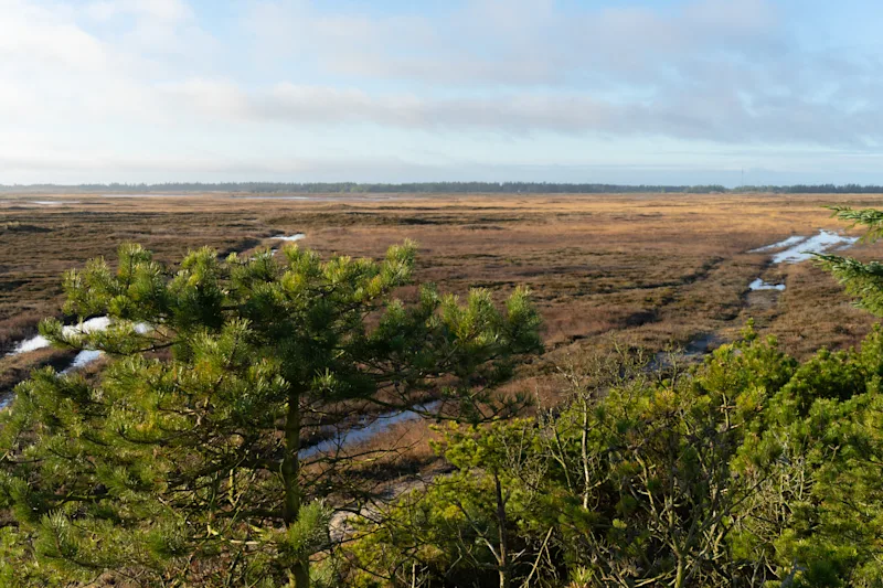 View over the Thy National Park, Denmark Jutland near Nørre Vorupør.