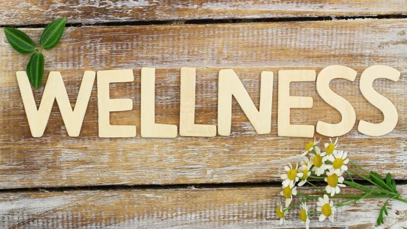Wellness written with wooden letters, chamomile flowers on wood