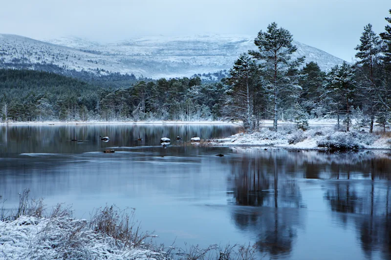 Loch Morlich in winter, Glenmore Forest Park, Scottish Highlands, Scotland, UK